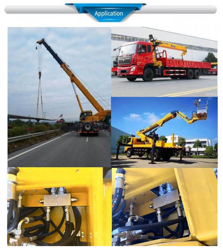 Hydraulic Cylinder Load Holding Valve Vbcd